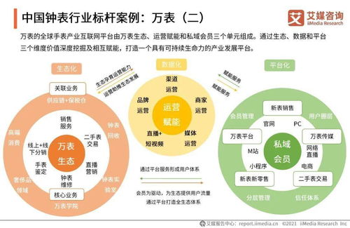 艾媒咨詢《2021年中國鐘表行業(yè)發(fā)展白皮書》對旅游開發(fā)項目策劃咨詢的啟示